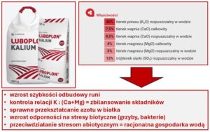 Znaczenie LUBOPLONU KALIUM na trwałych użytkach zielonych